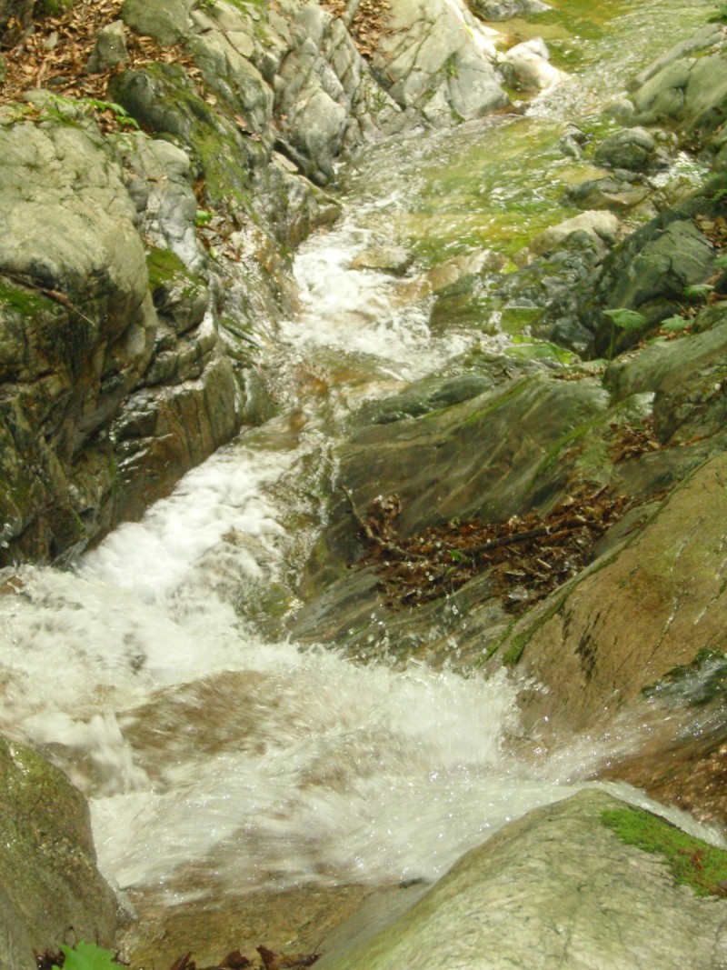 34c37d455b18ca568055f63c2cecda5b_1610820891_1784.jpg
