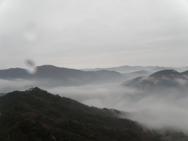 3fcbce2124588f3d90e3d7890804504f_1610716650_6361.jpg
