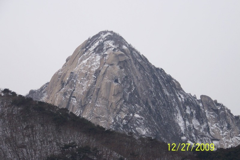 3fcbce2124588f3d90e3d7890804504f_1610717119_2086.jpg
