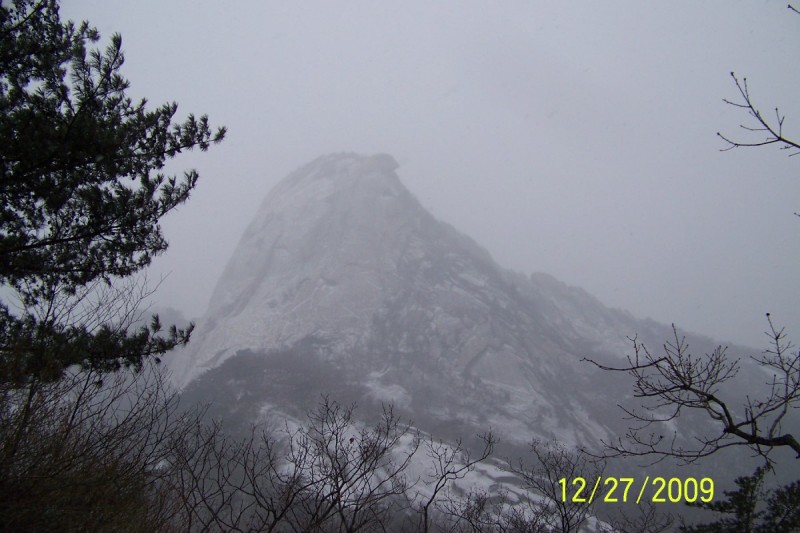 3fcbce2124588f3d90e3d7890804504f_1610717119_3189.jpg