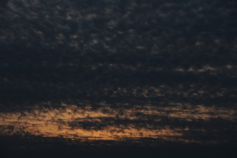 af3e3f13bfb968385a547e41a9fd9298_1610615393_5902.jpg